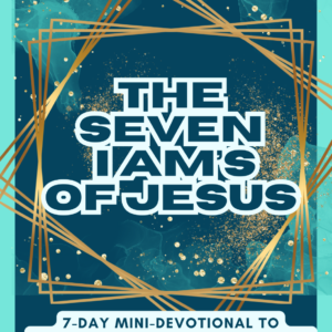 The Seven IAM's of Jesus. Mini Devotional. Teal and Turquoise colors with gold frame.