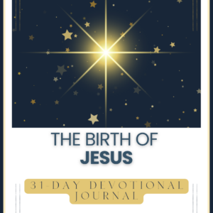 Starry night the birth of Jesus