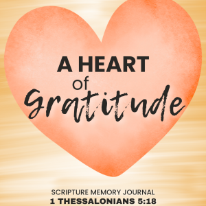 Heart of gratitude journal
